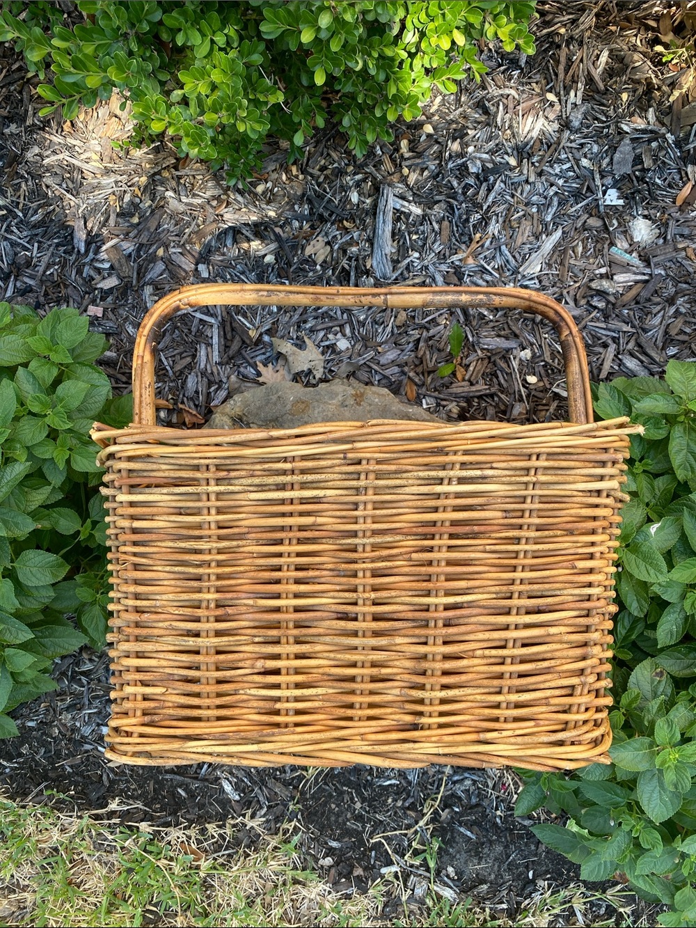Vintage Woven Rattan Gathering Basket with Bamboo Handle in Natural Brown - Picture 4 of 16